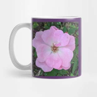 Light Pink Delicate Flower Photographic Image Mug